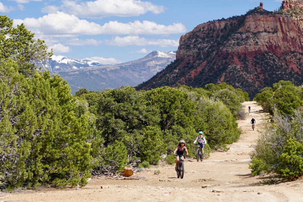 Several cyclists riding down a dirt road in Bears Ears with trees along the sides and bluff in the back ground under partly cloudy blue skies.
