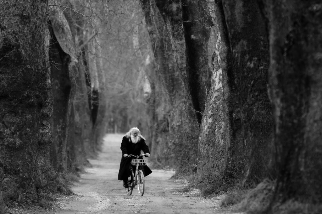 A black and white photo of an old man with a white beard biking on a path lined with tall trees.