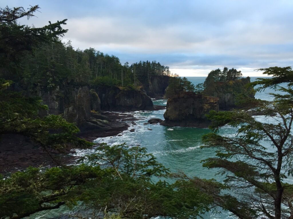 Washington Coastline