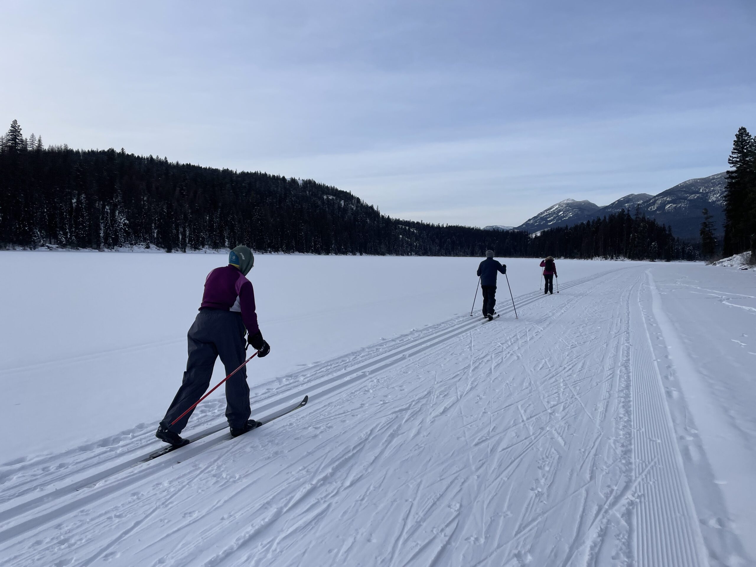 Three skiiers on Climate Ride Nordic Ski Camp