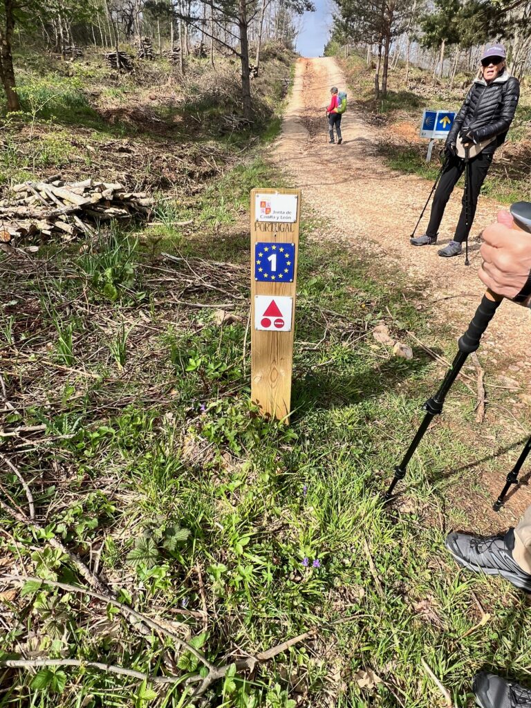 A post marks the trail along the Camino.