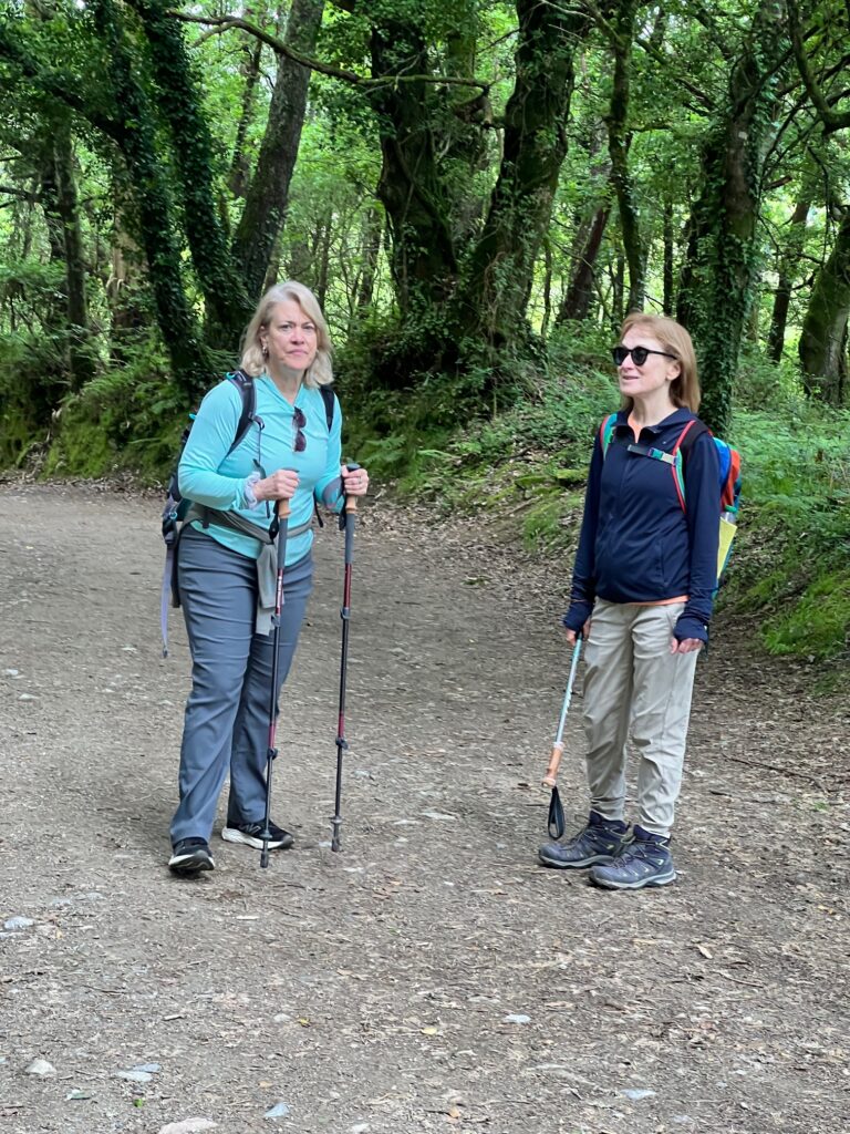 Linda Loewinger photos from the camino in spain in a forested section.