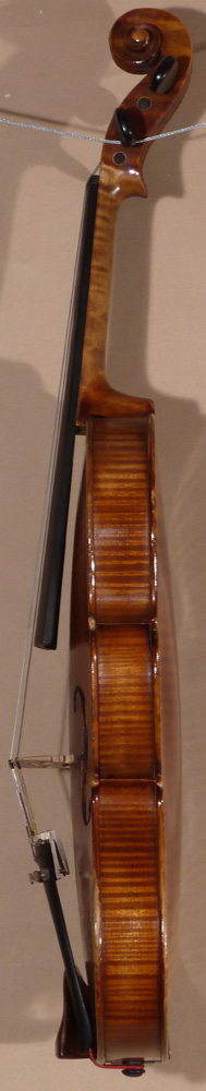Gebruder Placht Violin - Image 10