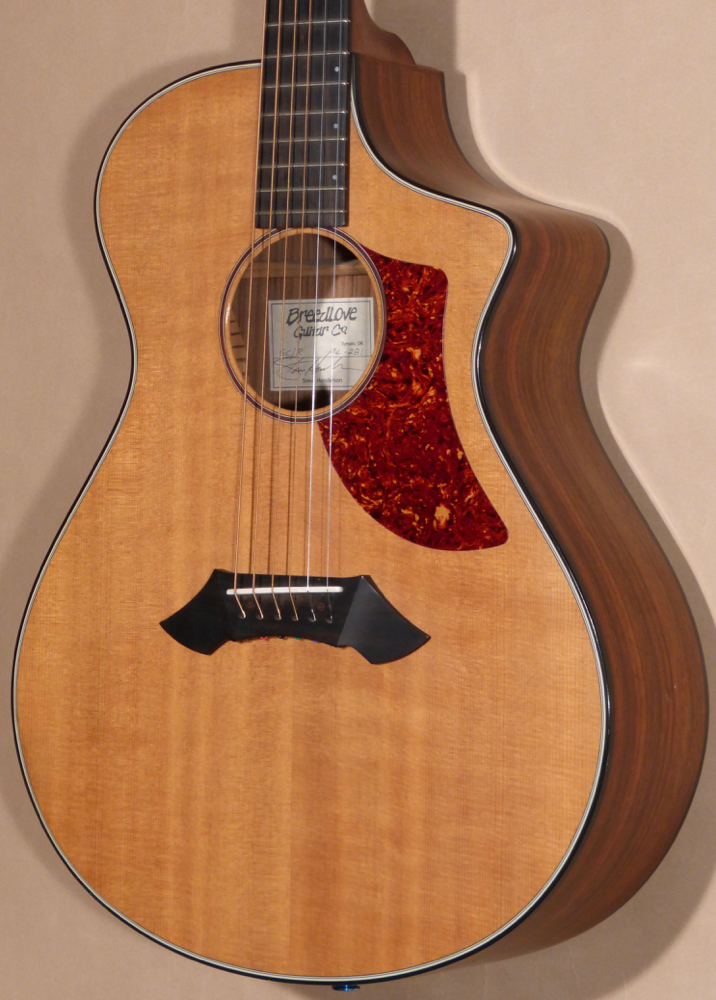 1994 Breedlove SC/R Acoustic Guitar