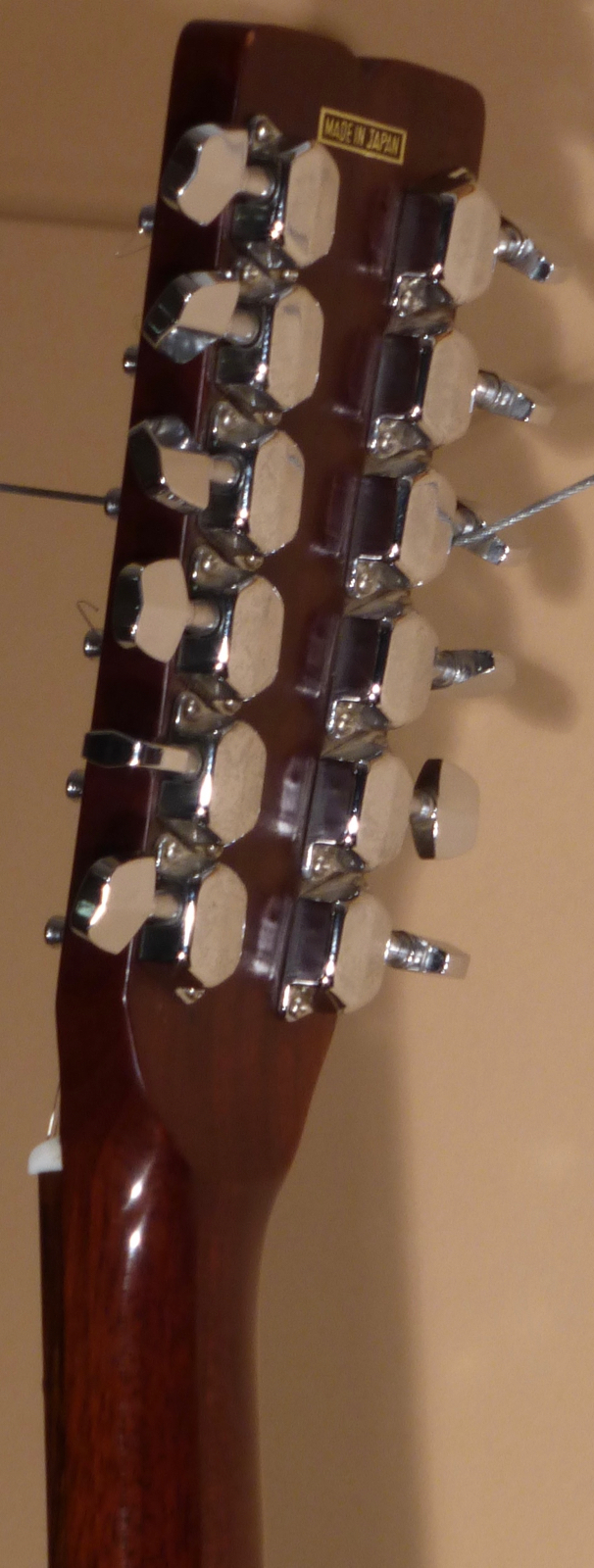 Fender F-55-12 - SOLD -