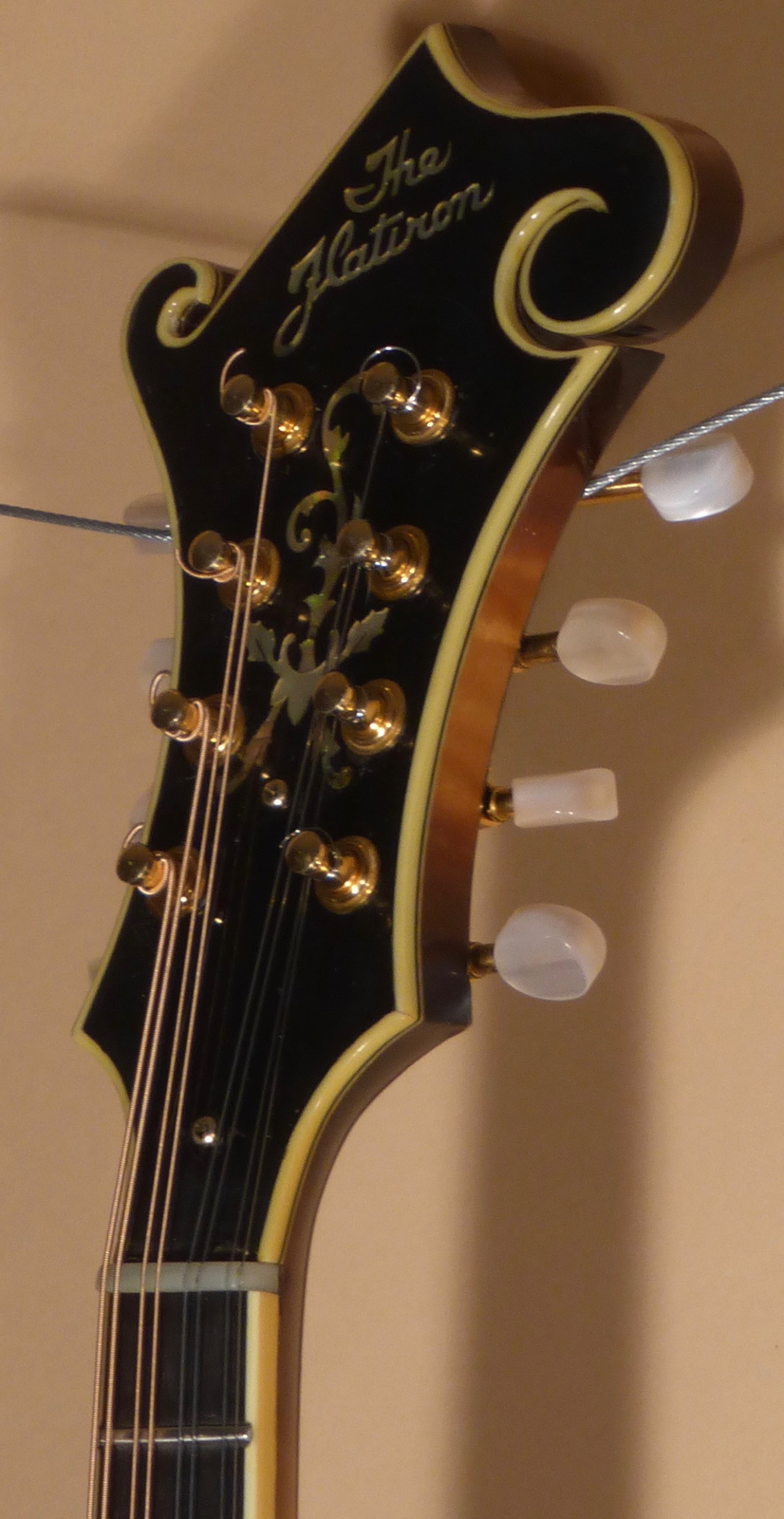 1992 Flatiron F-5 Artist- SOLD - Image 12
