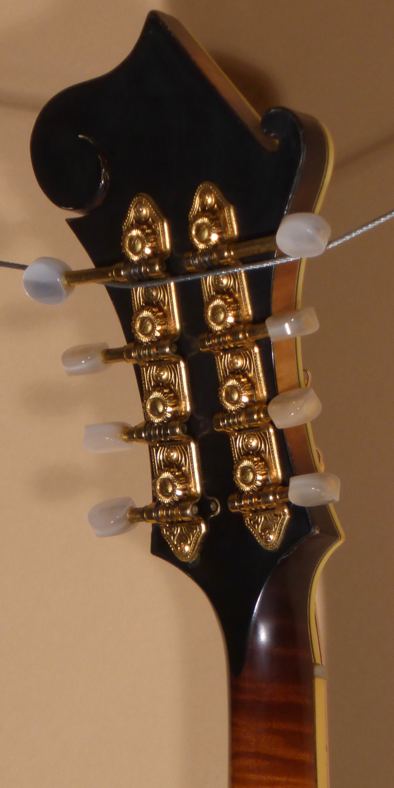 1992 Flatiron F-5 Artist- SOLD - Image 13