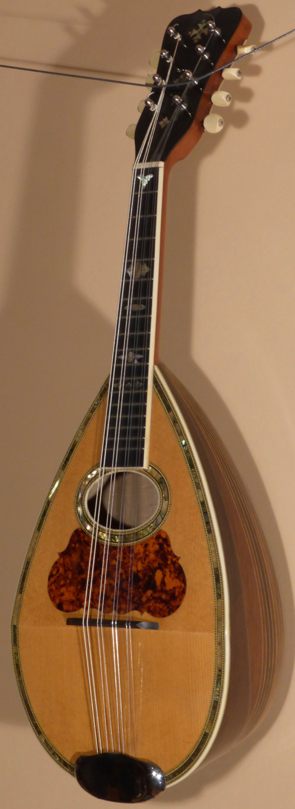 1895 Lyon & Healy Conservatory Bowl Back Mandolin - SOLD - Image 3