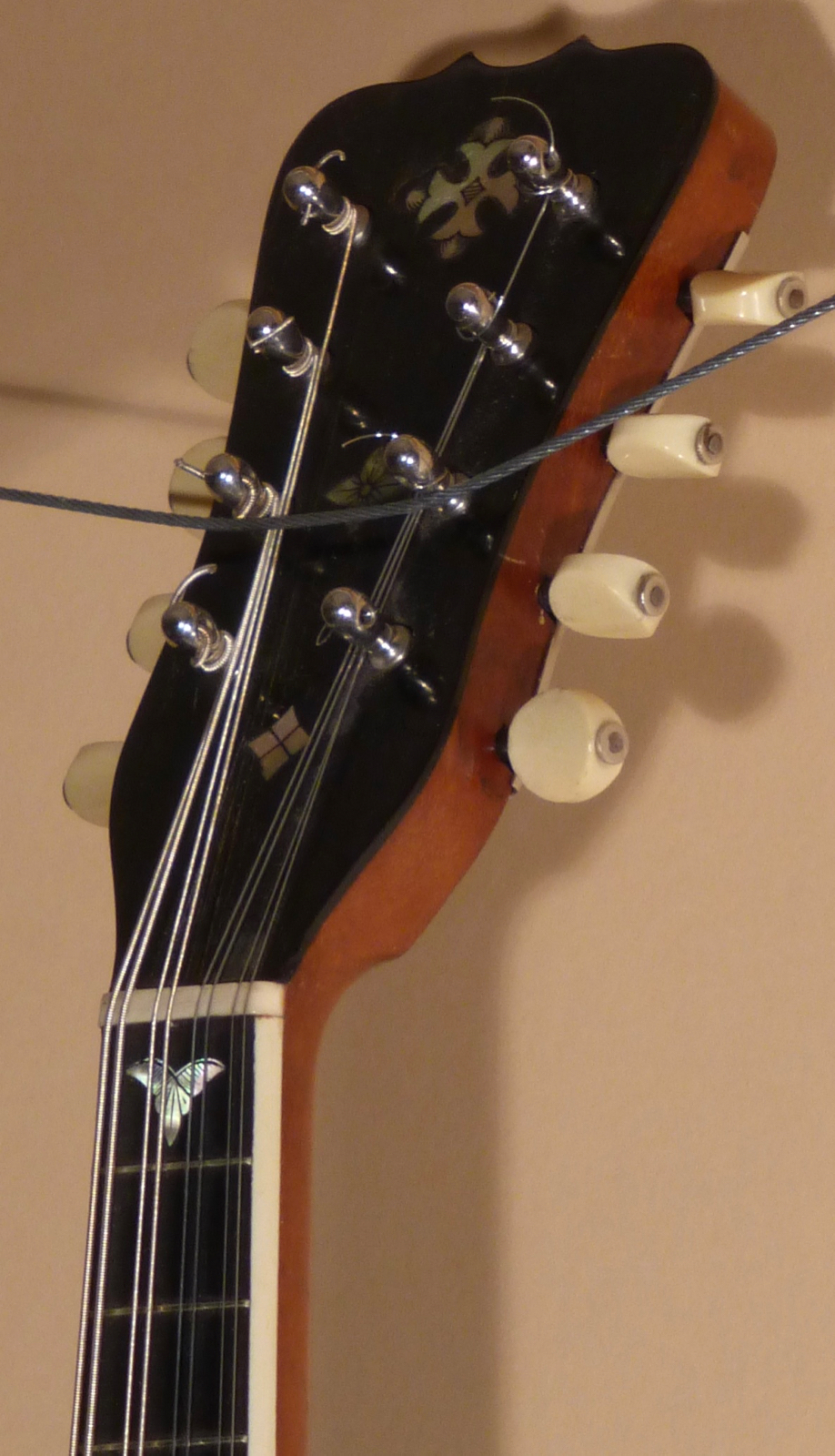 1895 Lyon & Healy Conservatory Bowl Back Mandolin - SOLD - Image 7