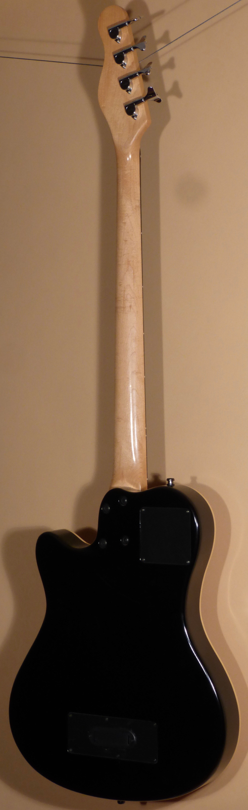 2006 Godin A4 Fretless Bass - Image 3