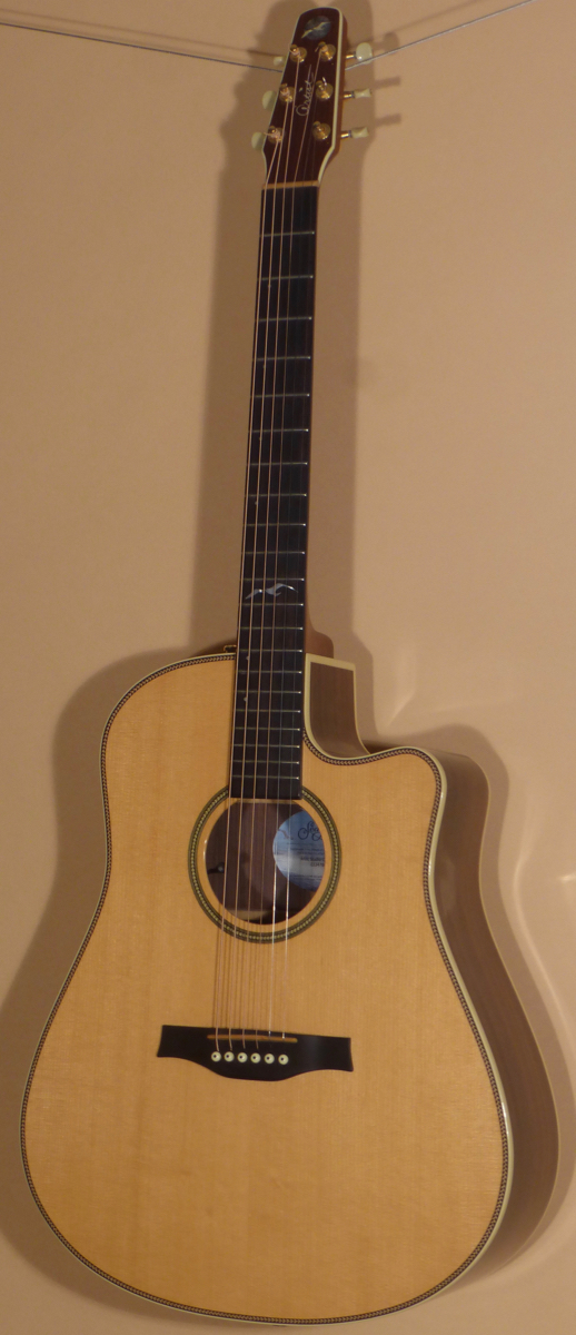 Seagull Artist Studio CW Deluxe II- SOLD - Image 2