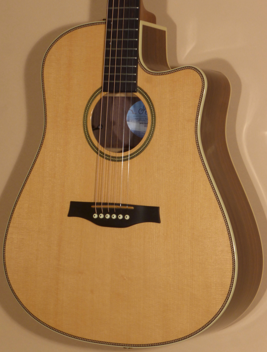 Seagull Artist Studio CW Deluxe II- SOLD