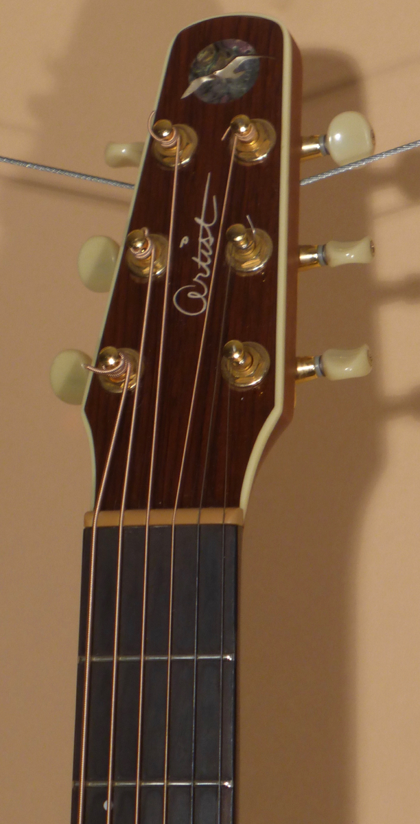 Seagull Artist Studio CW Deluxe II- SOLD - Image 7