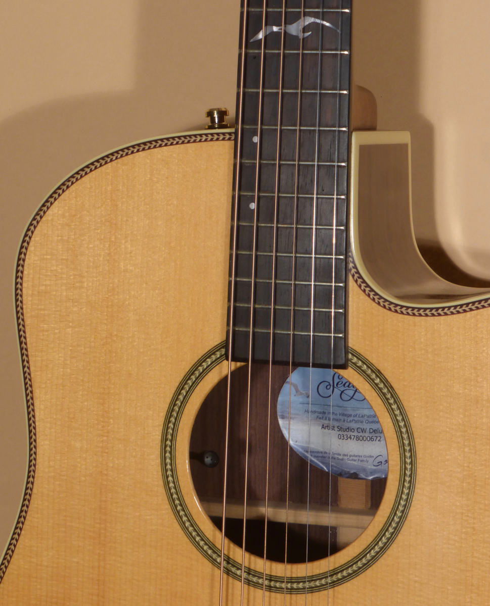 Seagull Artist Studio CW Deluxe II- SOLD - Image 6