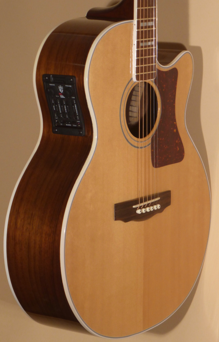 GUILD　F47M BLD(2007年製) 2007 Guild F-47 RCE- SOLD -