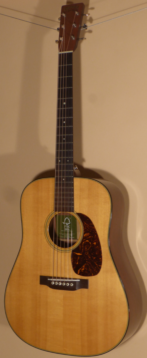 2009 Martin D Mahogany 09- SOLD -