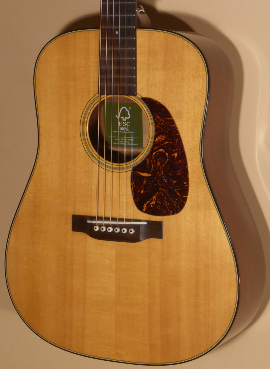 2009 Martin D Mahogany 09- SOLD