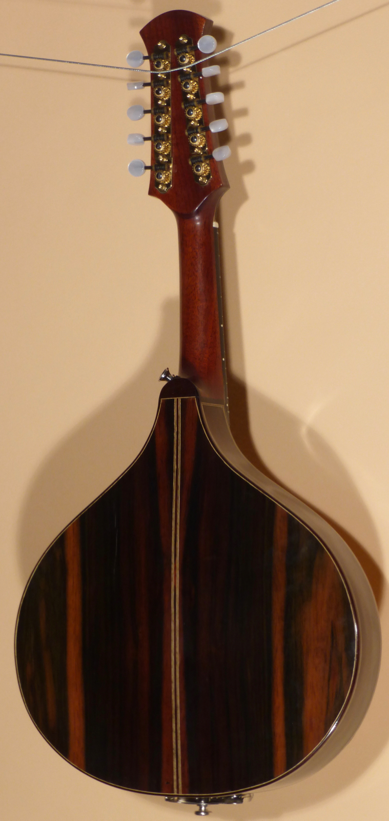 2008 Rogério Santos 10-String Bandolim- SOLD -