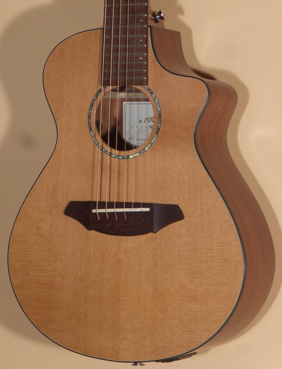 ギター Breedlove C25 passport BreedloveC25PassportTravelGuit