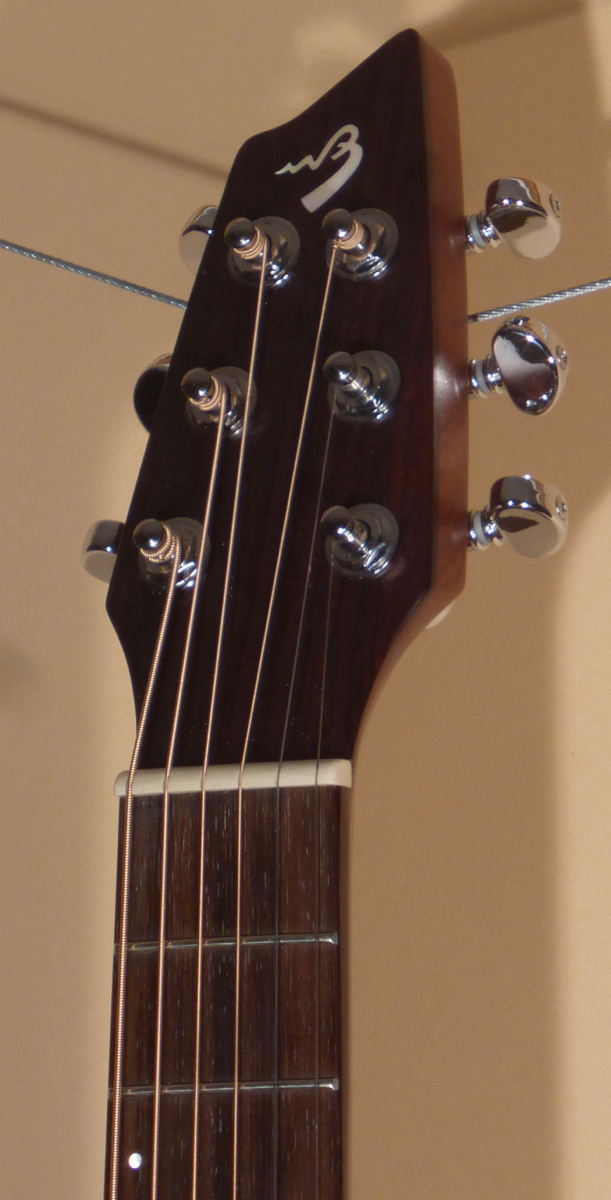 Breedlove C25 Passport Travel Guitar - SOLD -