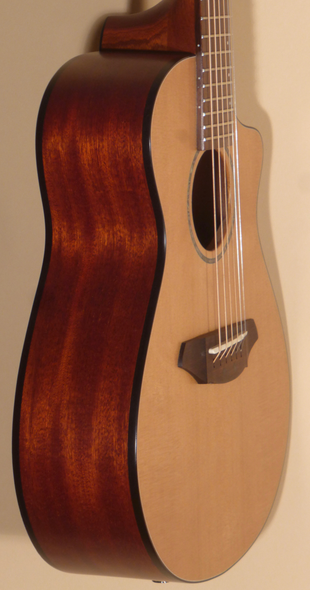 Breedlove C25 Passport Travel Guitar - SOLD -