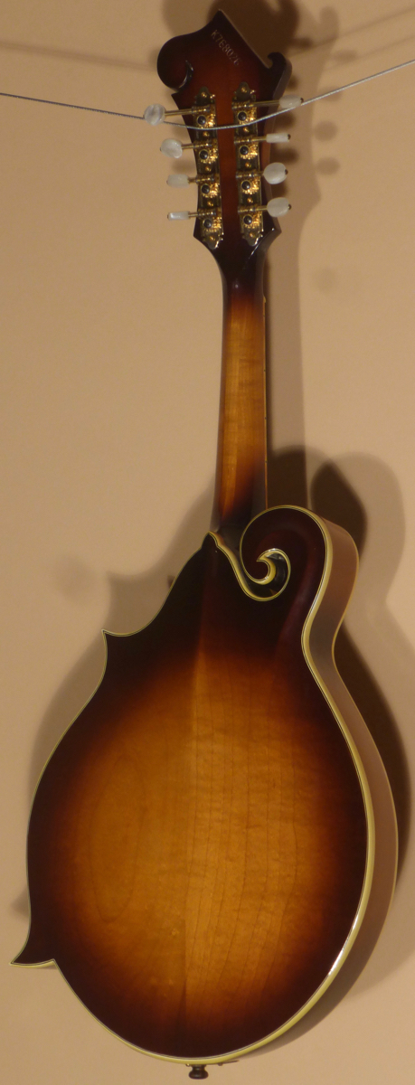 超希少！アイバニーズ 524ヴィンテージ、フラットマンドリン！ 1976 Ibanez F 524 Mandolin - Japan- SOLD -