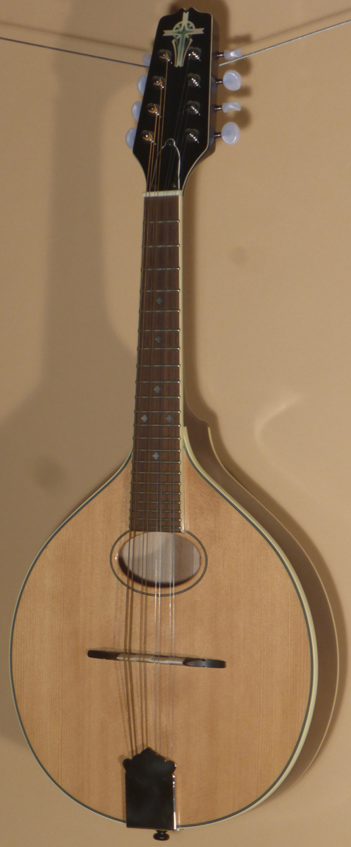 Trinity College TM-250 Mandolin- SOLD - Image 2