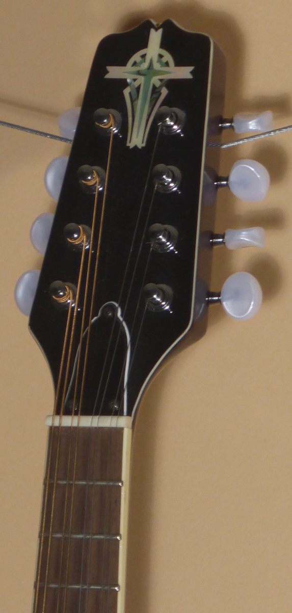 Trinity College TM-250 Mandolin- SOLD - Image 6