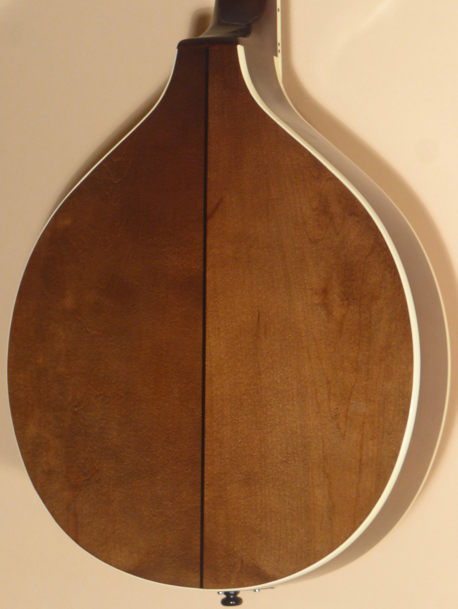 Trinity College TM-250 Mandolin- SOLD - Image 4