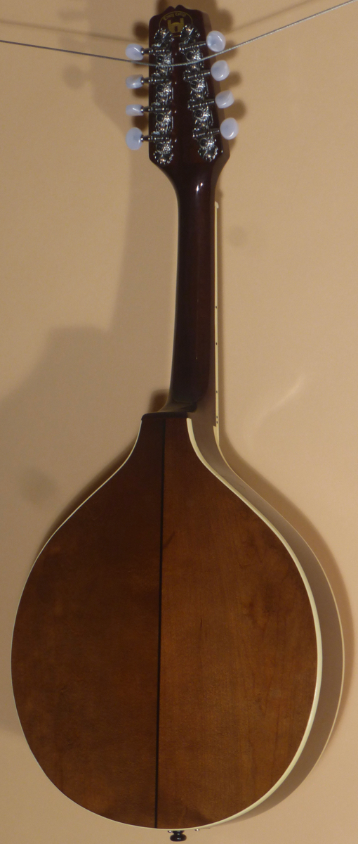 Trinity College TM-250 Mandolin- SOLD - Image 3
