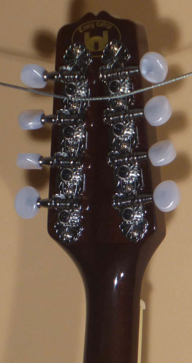 Trinity College TM-250 Mandolin- SOLD - Image 7