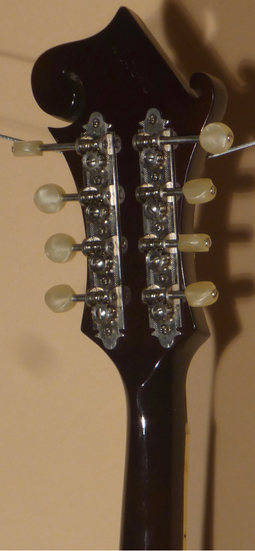 1966 Gibson A-5 Mandolin - SOLD - Image 7