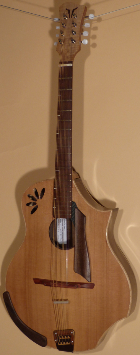 Blues Hardware Octave Mandolin- SOLD - Image 2