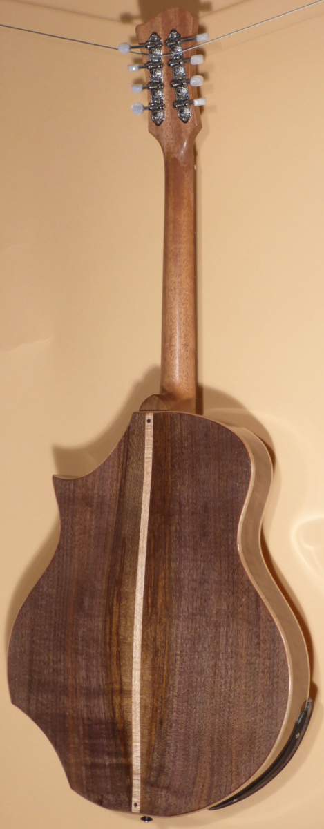 Blues Hardware Octave Mandolin- SOLD - Image 3